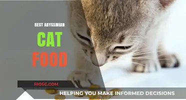 Top Picks for Abyssinian Cat Nutrition: A Comprehensive Guide to the Best Foods