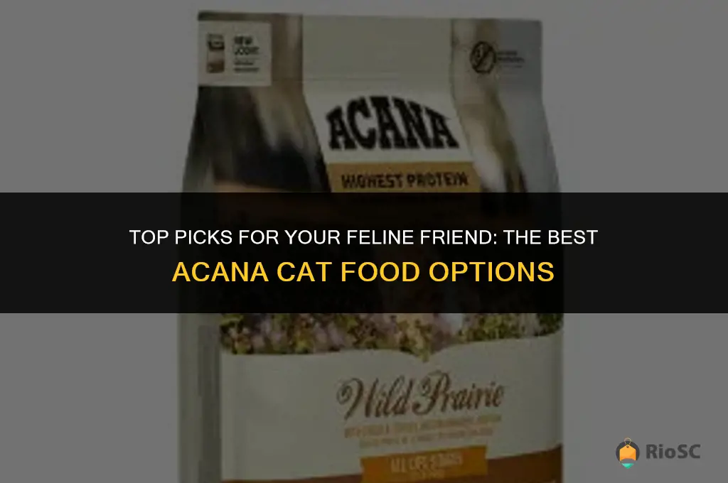 best acana cat food