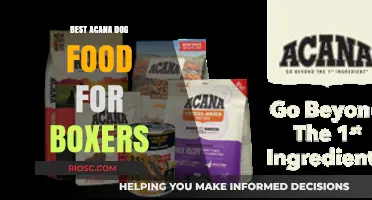 Top Picks: Acana Dog Food Formulas for Energetic Boxers