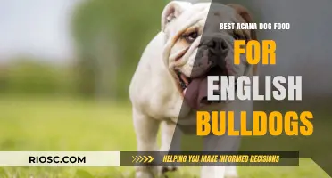 Top Acana Dog Food Choices for English Bulldogs: A Comprehensive Guide