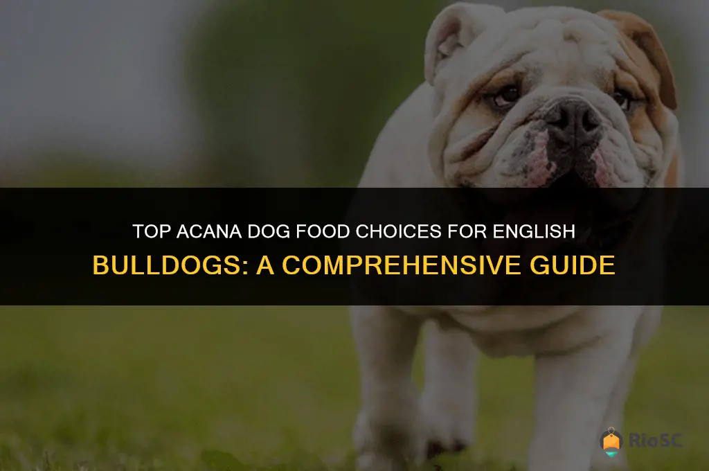 best acana dog food for english bulldogs