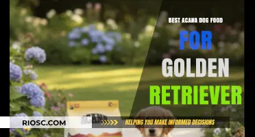 Top-Rated Acana Dog Food Options for Golden Retrievers: A Comprehensive Guide