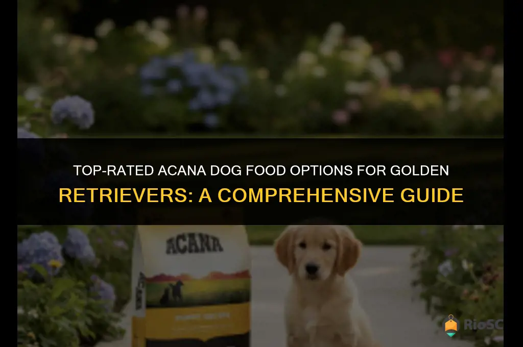 best acana dog food for golden retriever