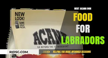 Top-Rated Acana Dog Food Options for Labradors: A Comprehensive Guide