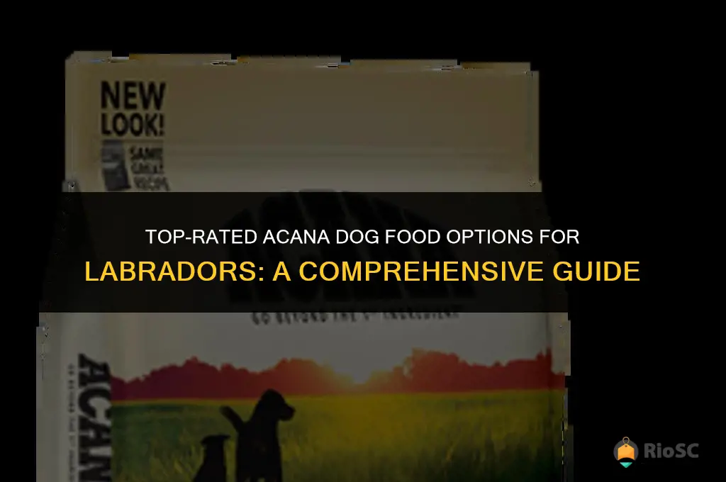 best acana dog food for labradors