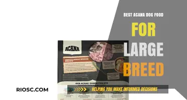 Top Picks: Acana Dog Food for Large Breeds - Nutrition and Taste Combined