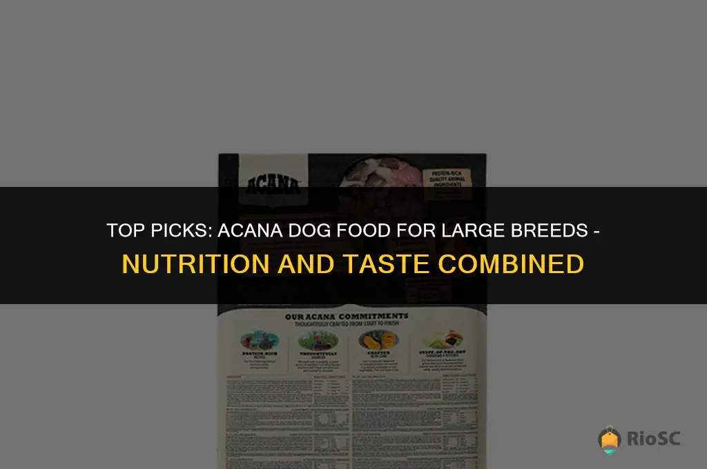 best acana dog food for large breed