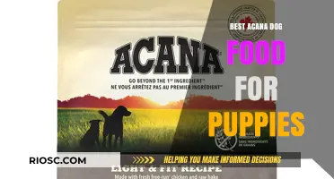 Nurturing Growth: The Ultimate Guide to Acana Dog Food for Puppies