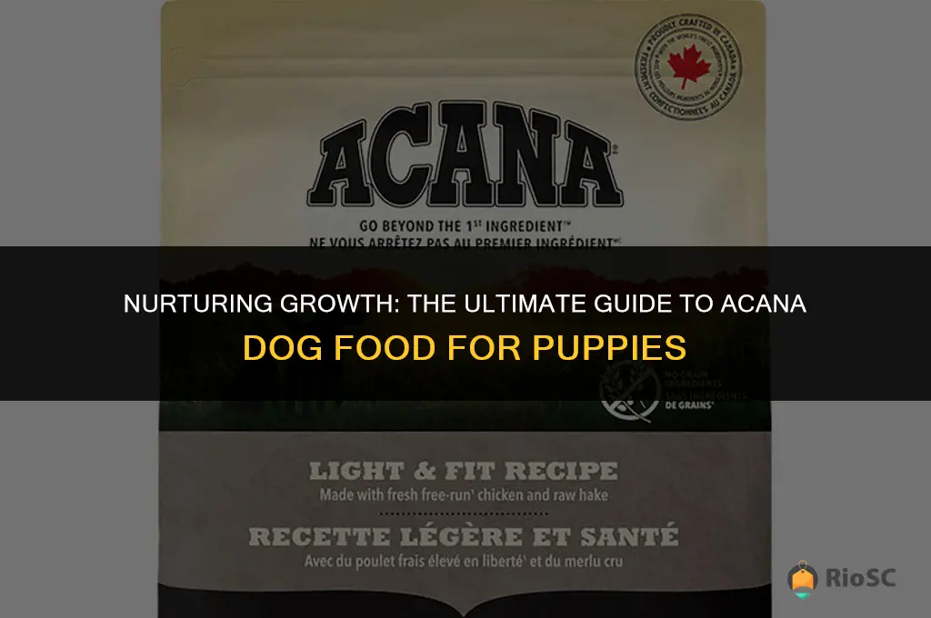 best acana dog food for puppies