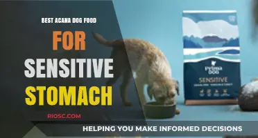 Soothing Sensitive Stomachs: The Ultimate Guide to Acana Dog Food for Digestive Health