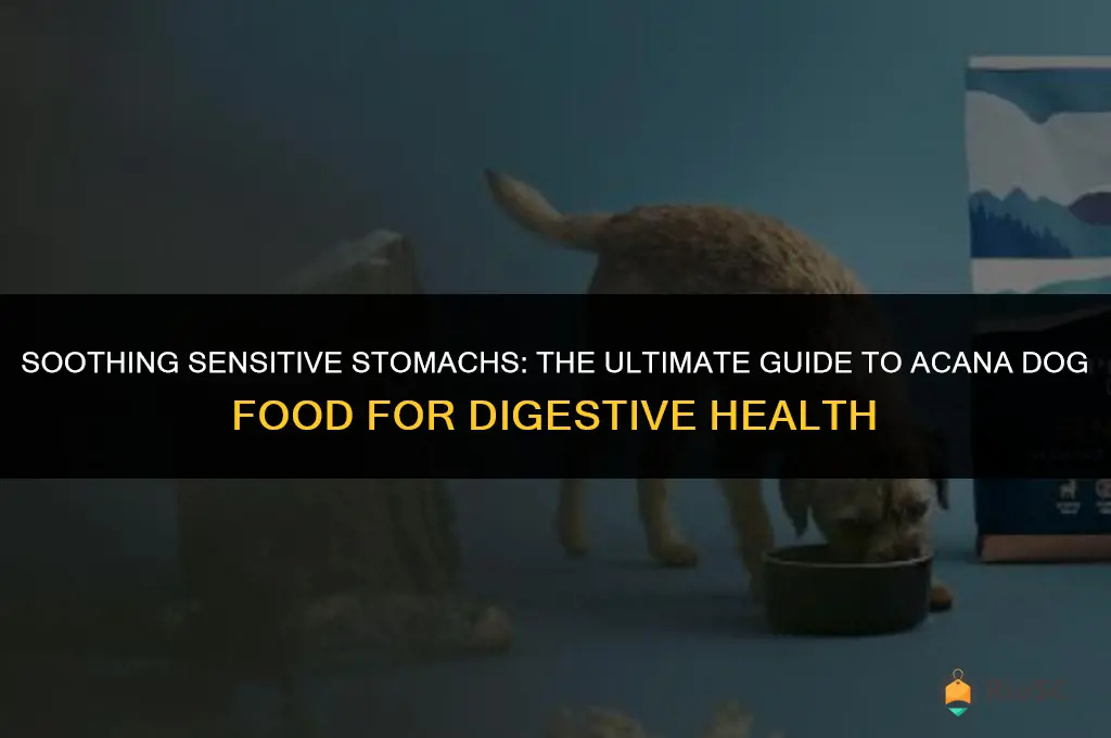 best acana dog food for sensitive stomach