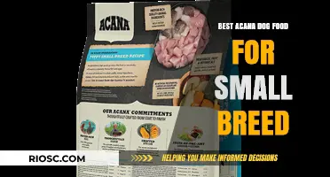 Top Picks: Acana Dog Food for Small Breeds - Nourishing Your Petite Companion