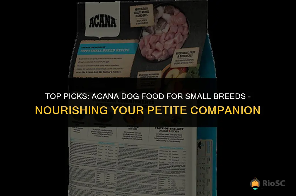 best acana dog food for small breed