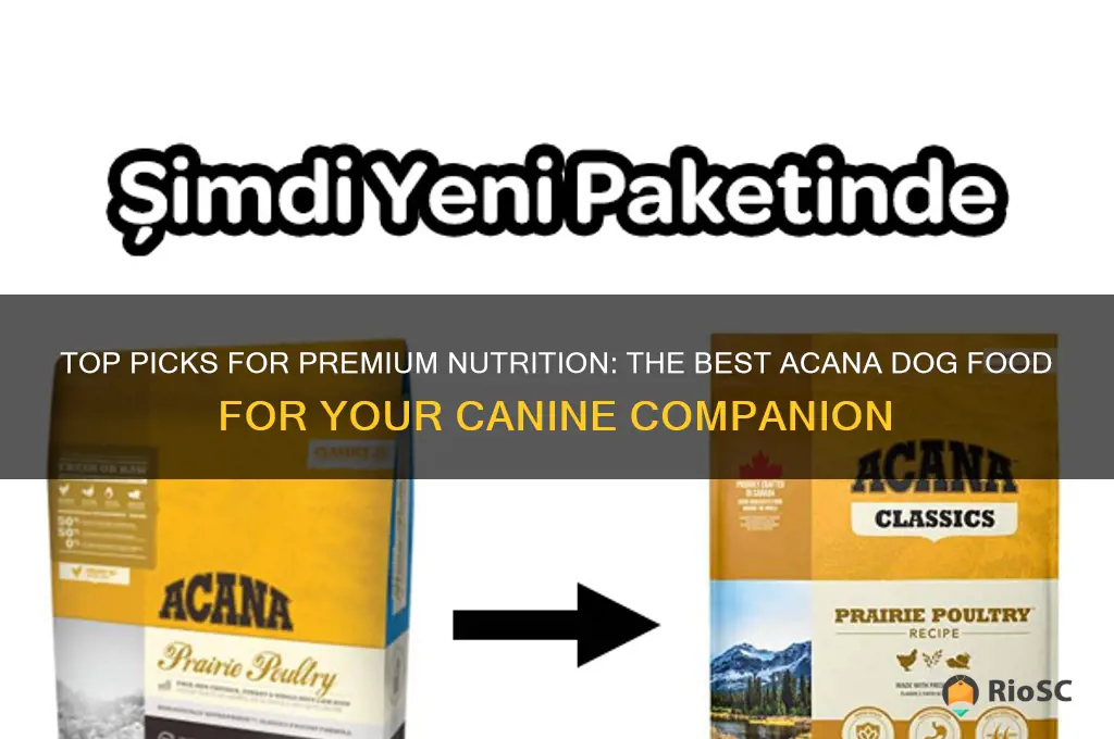 best acana dog food