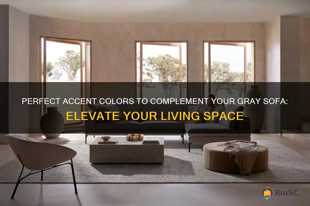 best accent color to go with gray sofas