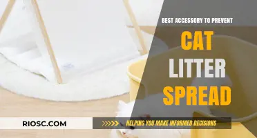 Top Cat Litter Mat: The Ultimate Accessory to Keep Litter Mess Contained