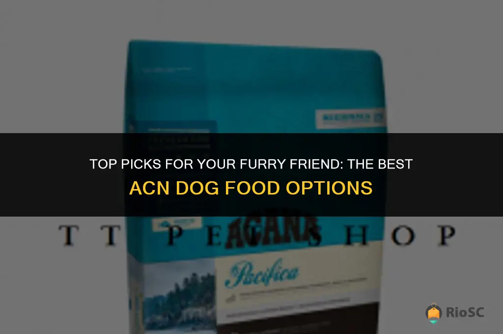 best acn dog food