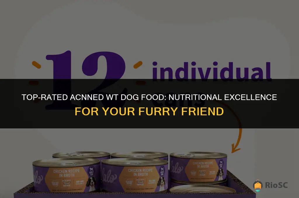 best acnned wt dog food