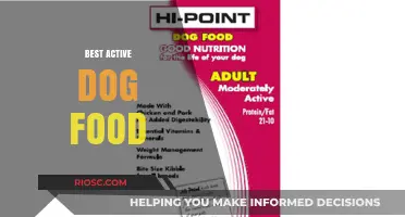 Top Picks for Active Pups: The Best Dog Food to Fuel Your Furry Friend's Adventures