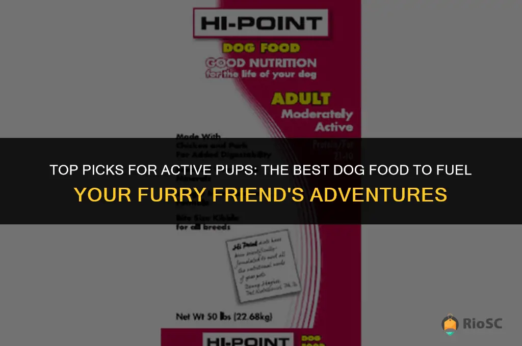 best active dog food