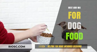 Enhancing Your Pup's Diet: Top Add-Ins for Optimal Canine Nutrition