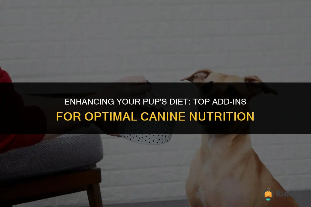 best add ins for dog food