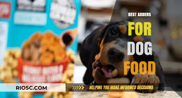 Enhancing Your Pup's Nutrition: A Guide to the Best Dog Food Adders