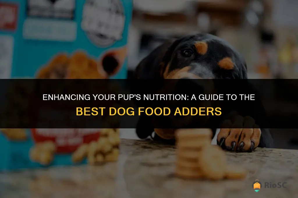 best adders for dog food
