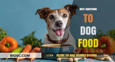 Enhancing Your Pup's Diet: Top Nutritious Additions to Dog Food
