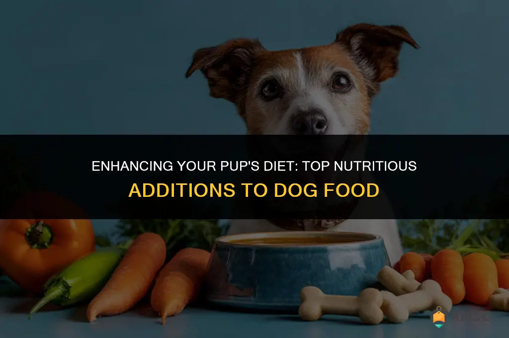 best additions to dog food