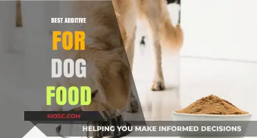 Enhancing Canine Nutrition: The Top Additive for Optimal Dog Food