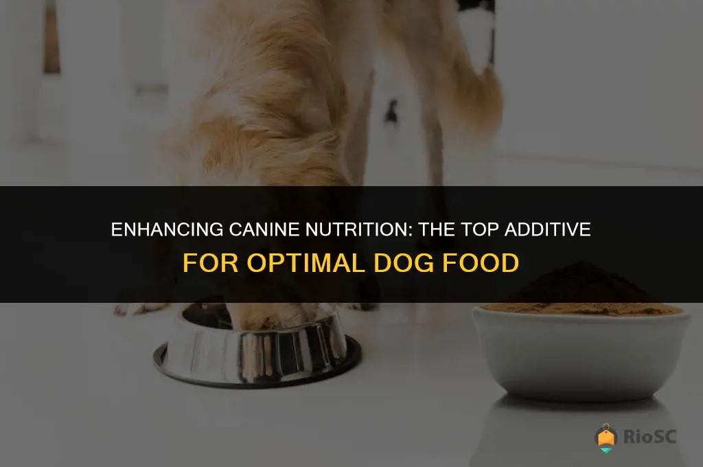 best additive for dog food