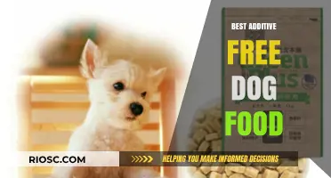 Exploring the Healthiest Options: A Guide to the Best Additive-Free Dog Foods