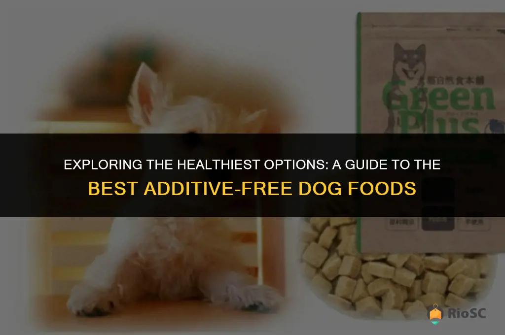 best additive free dog food
