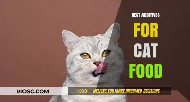 Enhancing Your Feline's Diet: Top Additives for Optimal Cat Health
