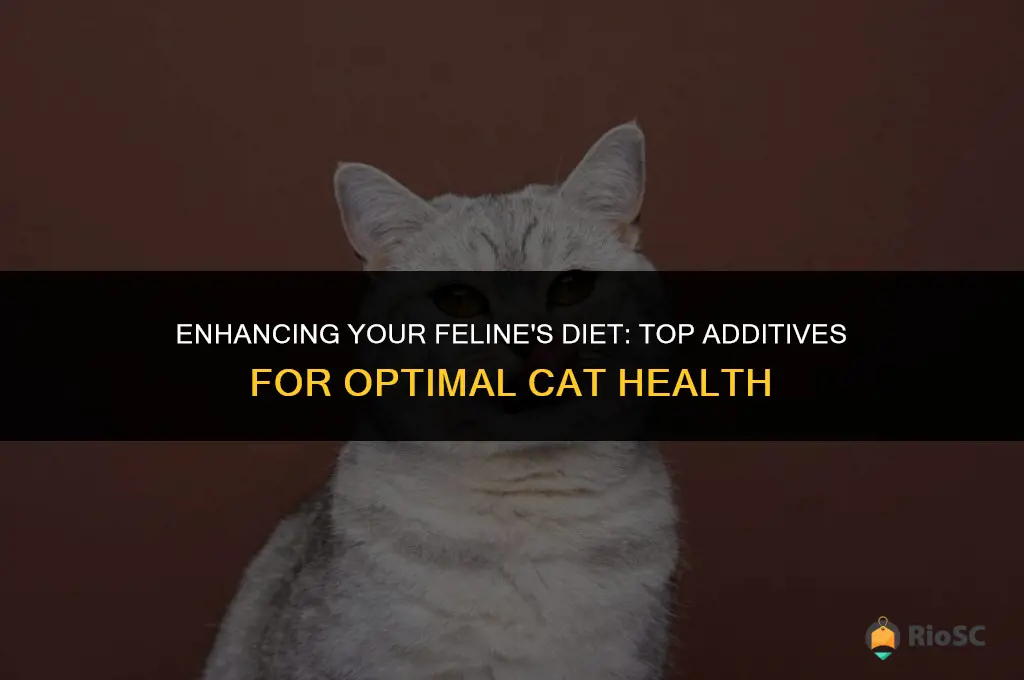 best additives for cat food