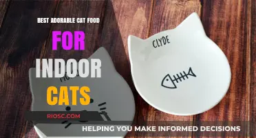 Purr-fectly Nutritious: The Best Adorable Cat Food Options for Indoor Cats