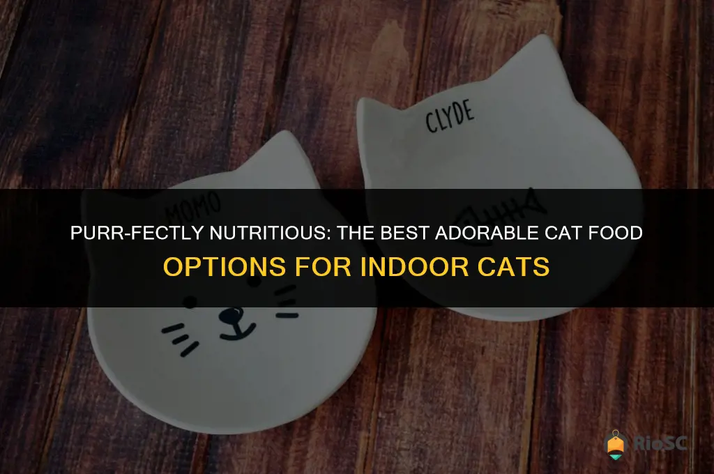 best adorable cat food for indoor cats