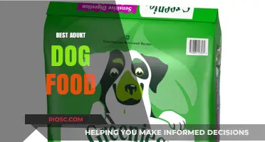 Top Picks for Adult Dog Nutrition: A Comprehensive Guide to the Best Dog Foods