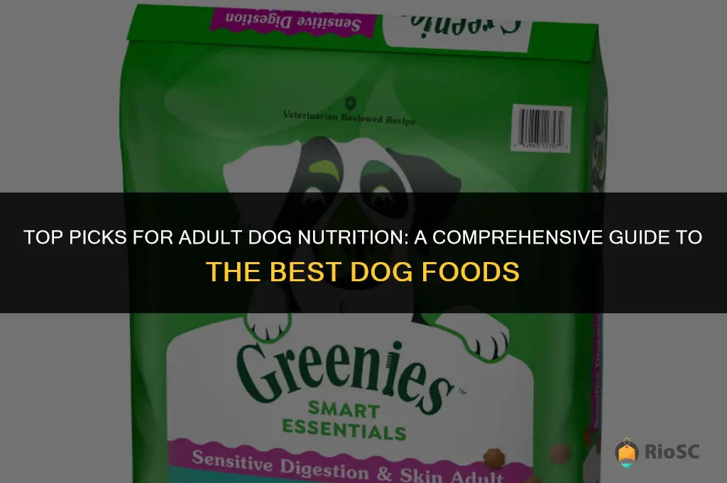 best adukt dog food