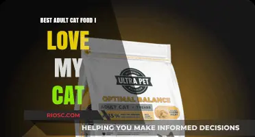 Purr-fect Nutrition: Unveiling the Best Adult Cat Food for Your Feline Friend