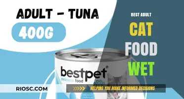 Top-Rated Wet Food Options for Adult Cats: A Comprehensive Guide