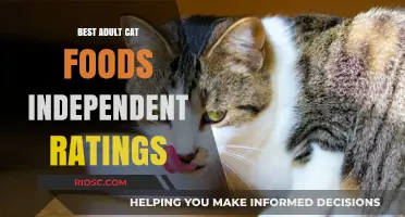 Top-Rated Adult Cat Foods: Independent Reviews and Ratings