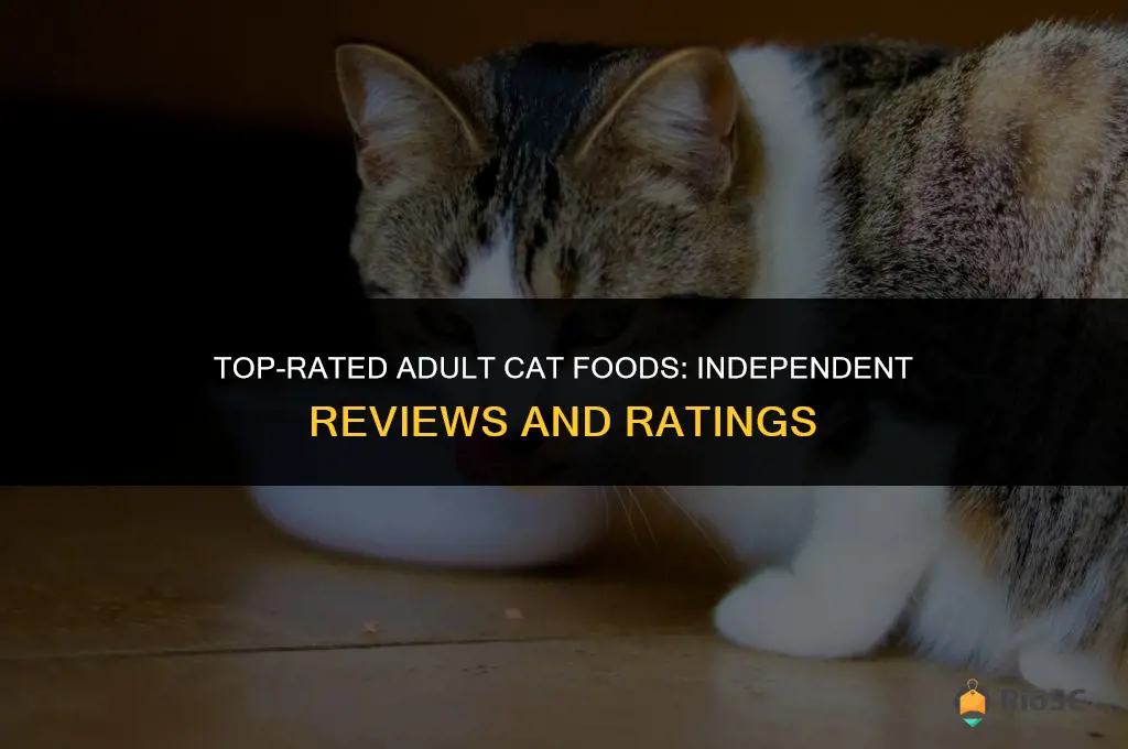 best adult cat foods independent ratings