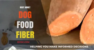 Top Picks for High-Fiber Adult Dog Food: Supporting Your Pet's Digestive Health