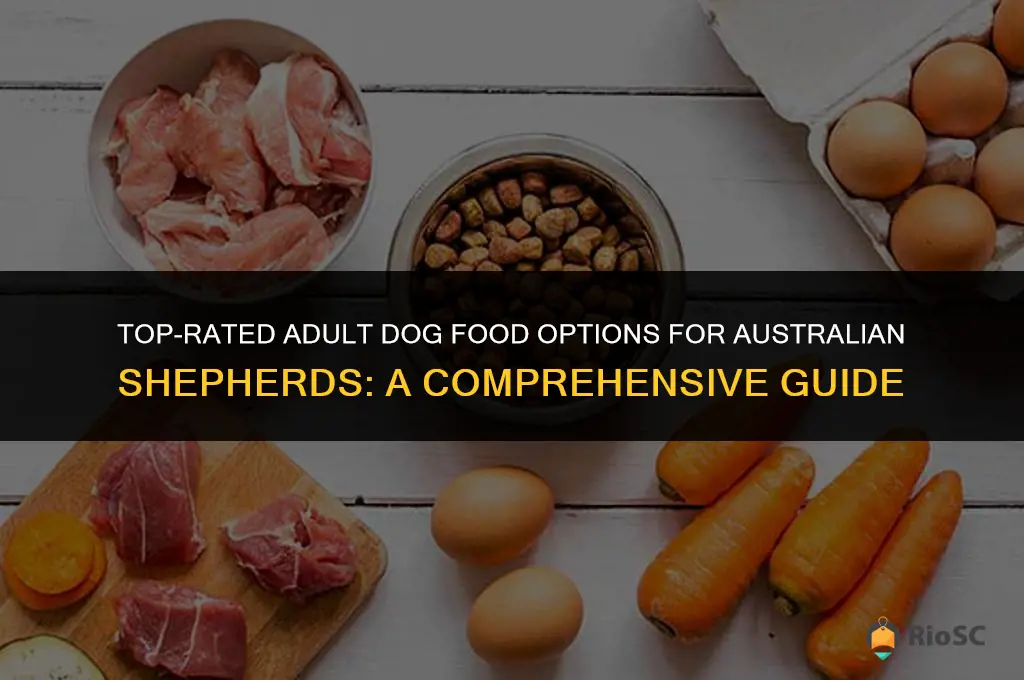 best adult dog food for australian shpherd