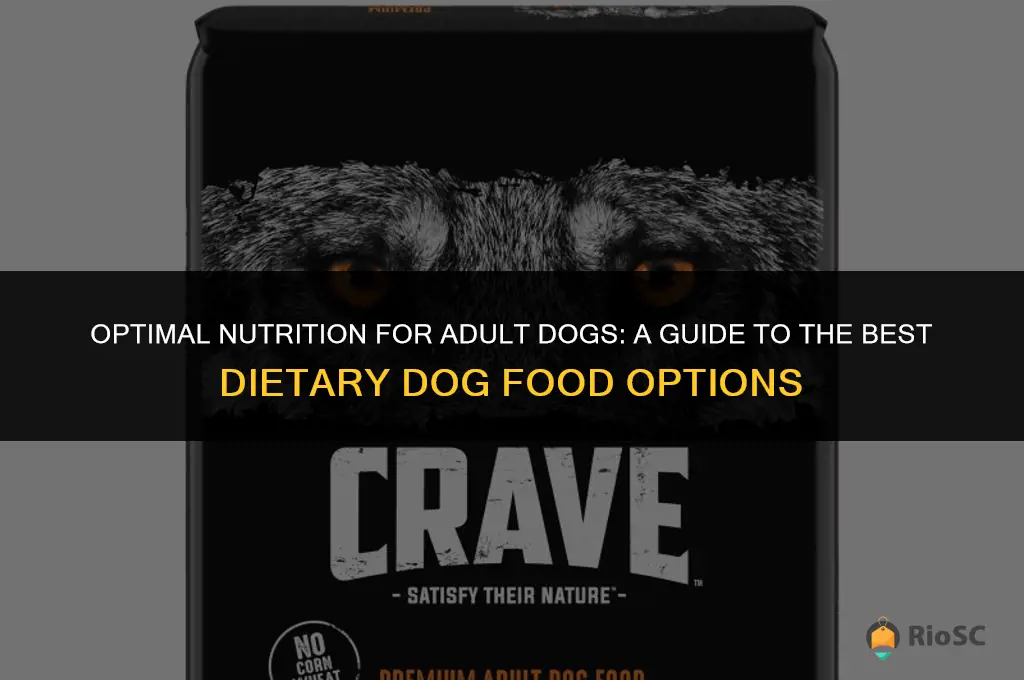 best adult dog food for diet