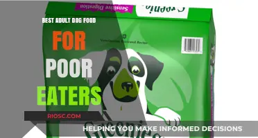 Top-Rated Adult Dog Food Options for Picky Eaters: A Comprehensive Guide