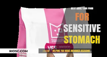 Top Picks for Adult Dog Food: Soothing Sensitive Stomachs