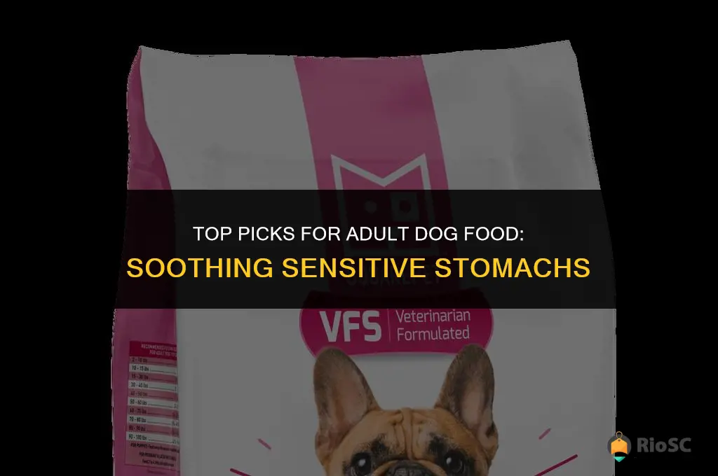 best adult dog food for sensitive stomach
